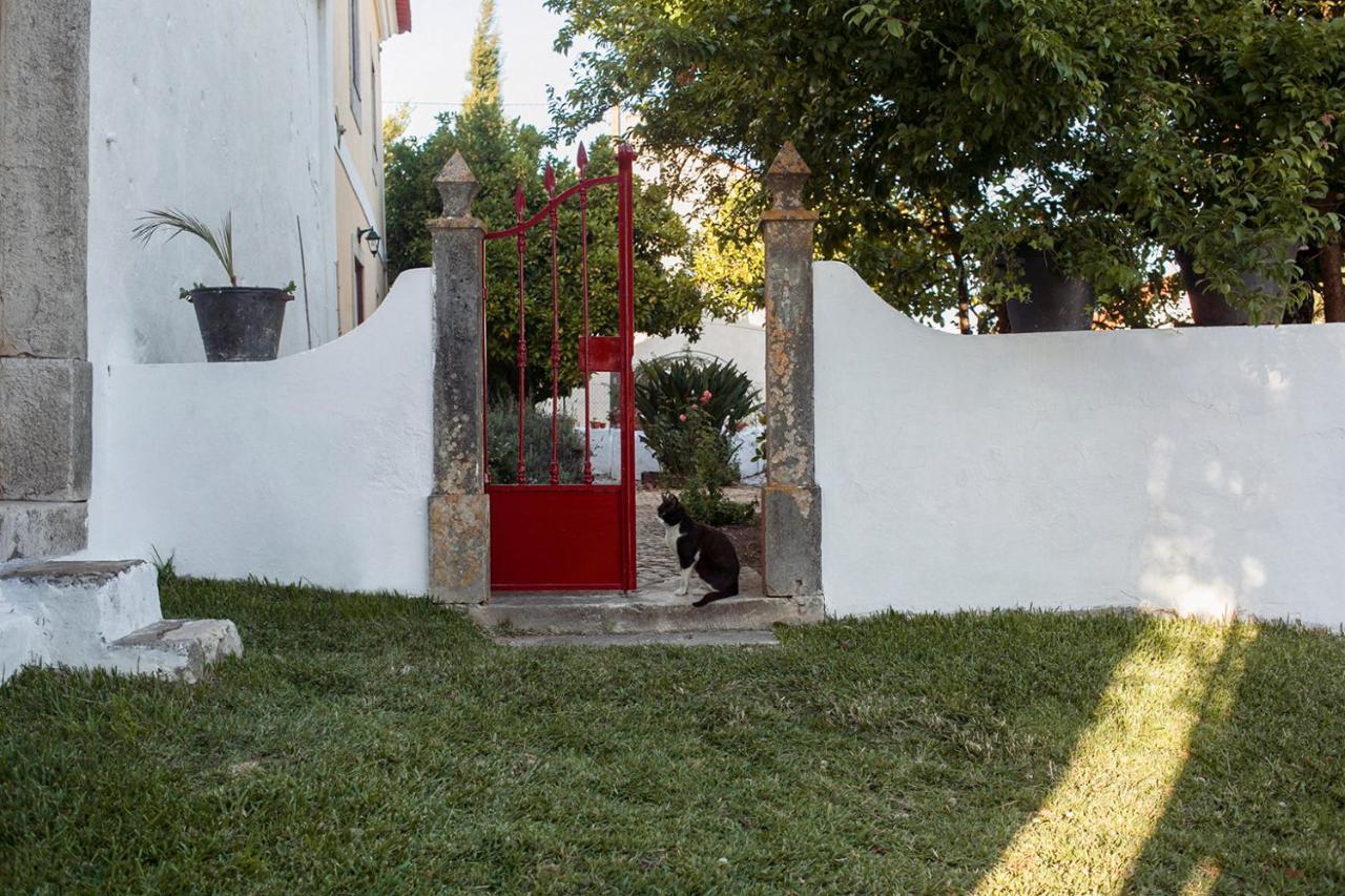 Casa Das Alfazemas Com Piscina, Jardim E Snooker Adao Lobo Zewnętrze zdjęcie